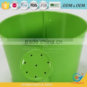 Iron Powder Coating Water Plant for Flowers Floral Watering Can thumbnail-4