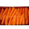 Sell Fresh Carrot thumbnail-1