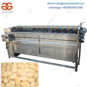 Automatic Stainless Steel Vegetable/Fruit Potato Bubble Washing Machine/Air Bubble Washing Machine Manufacture thumbnail-2