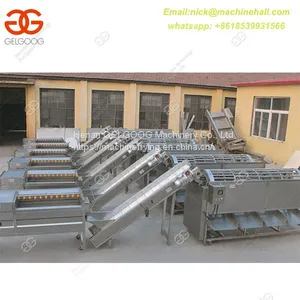 Onion Sorting Machine|Onion Grading Machine for Sale|Professional Onion Picking Machine thumbnail-4