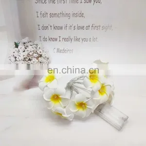 LED Frangipani Flower String Light Fairy Light For Home Party Wedding Decoration thumbnail-4