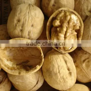 Walnuts Whole With Shell thumbnail-1