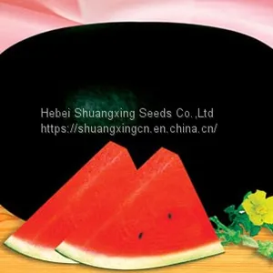 Crimson Hybrid Oval Shape Watermelon Seeds for Planting thumbnail-1