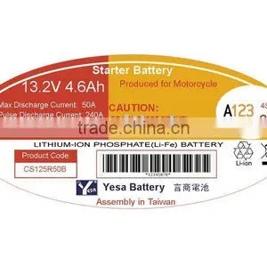 12V Motorcycle LiFePo4 Pack A123 ANR26650 thumbnail-1