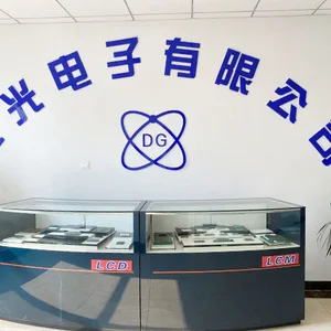 Dianguang Electronics Co., Ltd. company overview - view 1 thumbnail