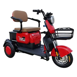 Qualified Ecc Coc 3 Wheel Mini Electric Cars for Adult thumbnail-4