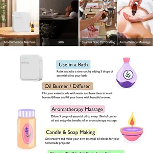 Custom Wholesale 233 Kinds Fragrance 100% Pure Organic Oils Dual Fluid Atomization Essential Oil Suitable for Aroma Diffusers thumbnail-4