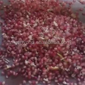 Pomegranate Seeds Peeling Machine/pomegranate Processing Machine thumbnail-3