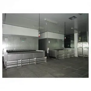 Shanghai SSD Series IQF Quick Freezing Refrigeration System thumbnail-3