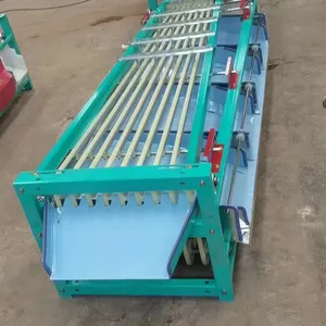 Avocado Fruit Sorting Grading Machine Sorter Grader Machine Line Classifying Machines thumbnail-6