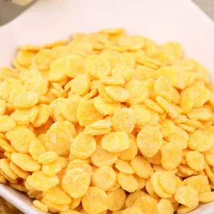 Corn Chips Making Machine/Tortilla Chip Production Line thumbnail-1