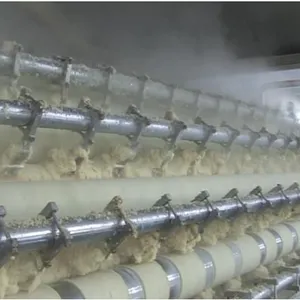 Small Scale Corn Flakes Production Plant thumbnail-5