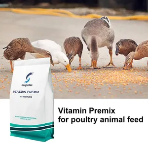 Wuhan Gongchen Vitamin Premix thumbnail-2