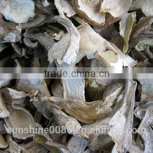 High Quality High Quality Dried Boletus Mushroom in Yunnan thumbnail-2