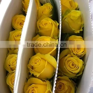 Top Quality Most Popular Gold Plated Gift Rose thumbnail-1
