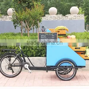 Fruit Vegetable Eco-friendly Street Vending Bike thumbnail-2
