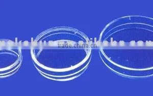 Culture Dish thumbnail-1