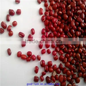 High Quality New Crop Azuki Beans thumbnail-6