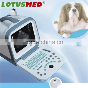 Portable Ultrasound Scanner For Vet thumbnail-1