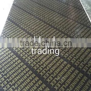 Marine Plywood/shuttering Plywood/film Faced Plywood Same Qaulity With DANUBE,CNBM,PVS thumbnail-3