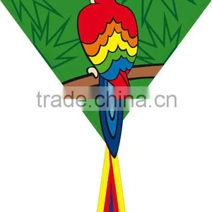Weifang Kite thumbnail-1
