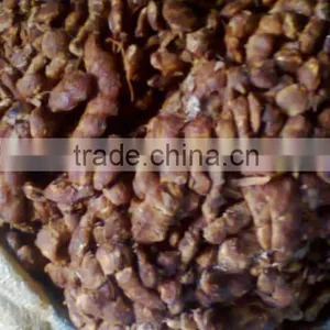 Tamarind thumbnail-4