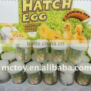 Hatching Poultry Egg Growing Toys thumbnail-1