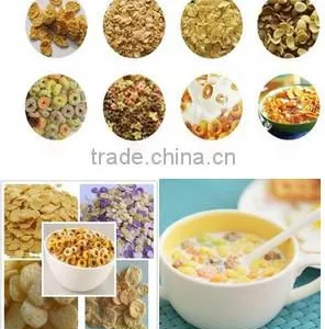 Corn Flakes/Breakfast Cereals Extruder thumbnail-1