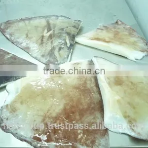 Giant Squid Wing thumbnail-4