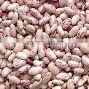 Speckled Kidney Beans With Hige Quality for Sale thumbnail-3