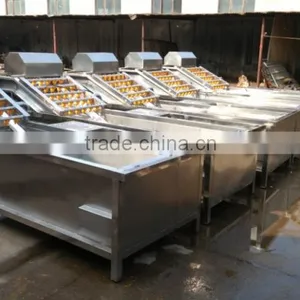 Washing Tank for Fruits for Berry Cleaning Machine/ Washing of Apples thumbnail-1