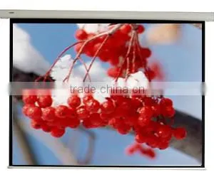 2015 Wholesale Retail High Quality Factory Motorized Screen Matte White ce Rohs Fast Delivery thumbnail-1