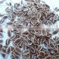 Dill Oil(Katyani Exports) thumbnail-1
