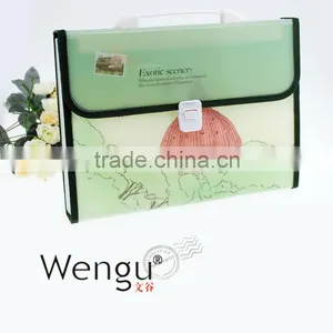 2014 New Design Fashional Frosting Expanding File Bagwith Plastic Closure thumbnail-1
