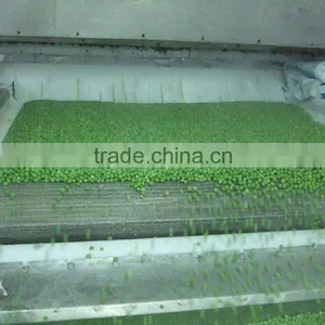 New Crop 2015 Frozen Green Peas thumbnail-2