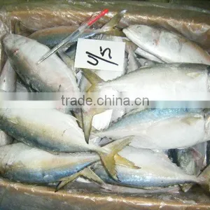 Frozen Fish / Crabs / Shrimps / Clams and Dried Fish Skin & Bones thumbnail-2