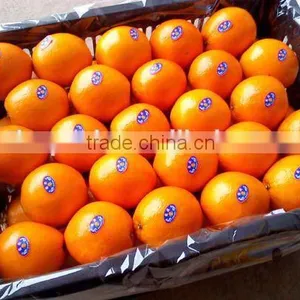 Fresh Gannan Navel Orange, Best Quality China Navel Orange thumbnail-2