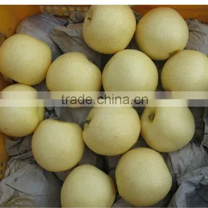 Fragrant Pear thumbnail-1