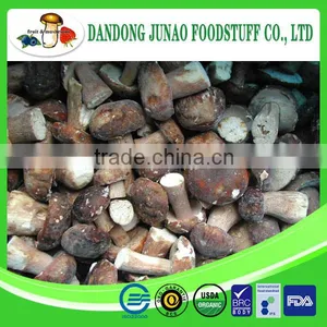 Purchase Frozen Boletus Edulis Fresh White Button Mushroom thumbnail-1