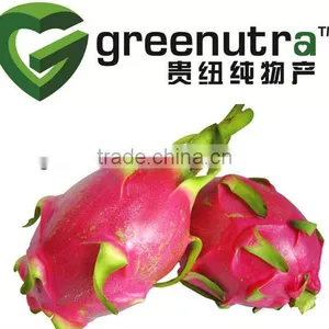 Dragon Fruit Powder thumbnail-1