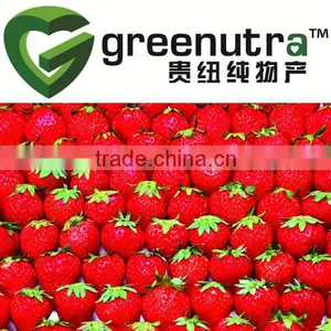 Strawberry Powder thumbnail-1