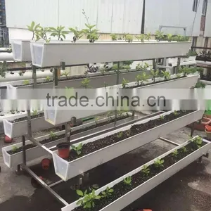 Hydroponic Vertical System for Lettuce thumbnail-4
