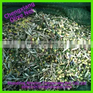 High Quality Olive Harvest Net With Eyelets and UV Treated thumbnail-5