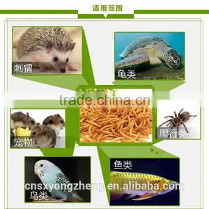 Dried Mealworms,Birds Food & Aquarium Fish Food thumbnail-1