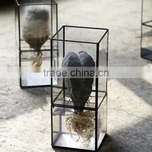 Latest Design Rectangular Terrarium Hydroponic Glass Containers thumbnail-2