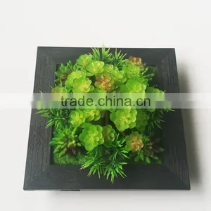 Wholesale Ornamental Plants Small Plastic Succulent Plant Bonsai thumbnail-5