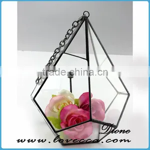 Clear Geometrical Terrarium Glass Hanging for Indoor Plant Holder thumbnail-2