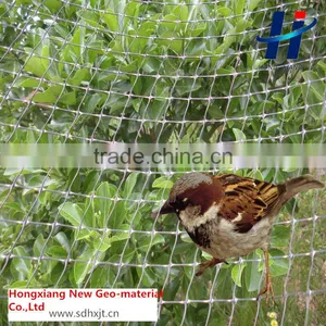 Plastic Two-way Stretch Net Used for Used for Gypsum Reinforced/Wall Plaster Reinforced thumbnail-2