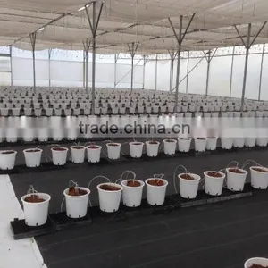 Eco-friendly Ground Cover thumbnail-6