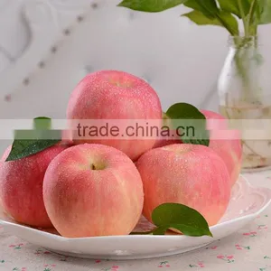 20 KG/CTN 1155 CTNS/FCL (40 FT RH)High Quality Chinese Fresh Red Apple thumbnail-1